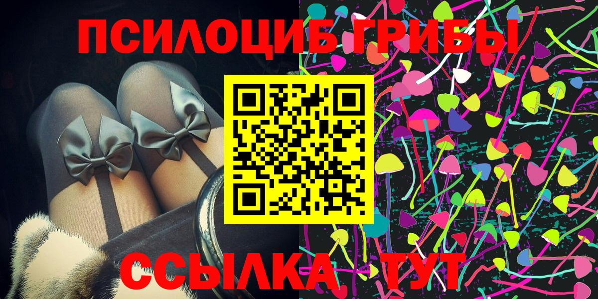 Златоуст  как найти   Вход с VPN  Псилоцибиновые грибы Psilocybe 