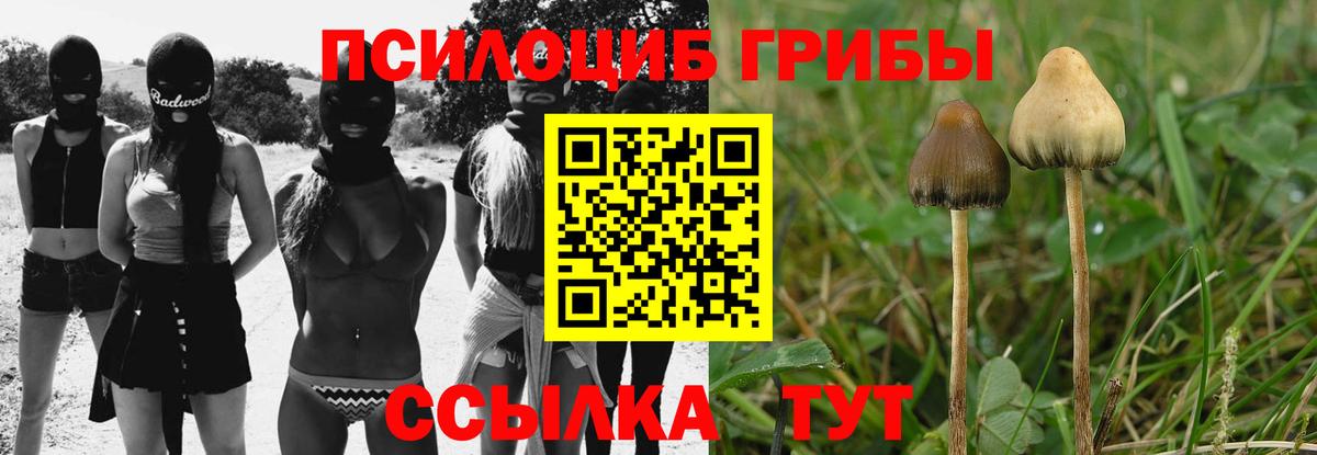 Псилоцибиновые грибы Psilocybine cubensis Златоуст